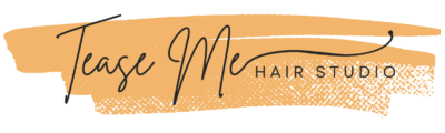 Tease Me Hair Studio Logo